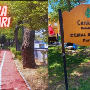 cemal sureya parkı