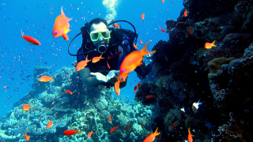 Sharm El Sheikh Turları