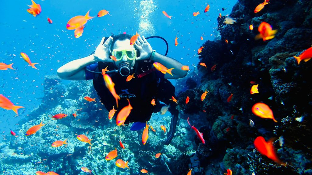 Sharm El Sheikh Gezi Rehberi