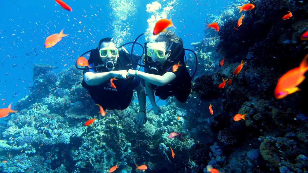 sharm el sheikh dalış turu