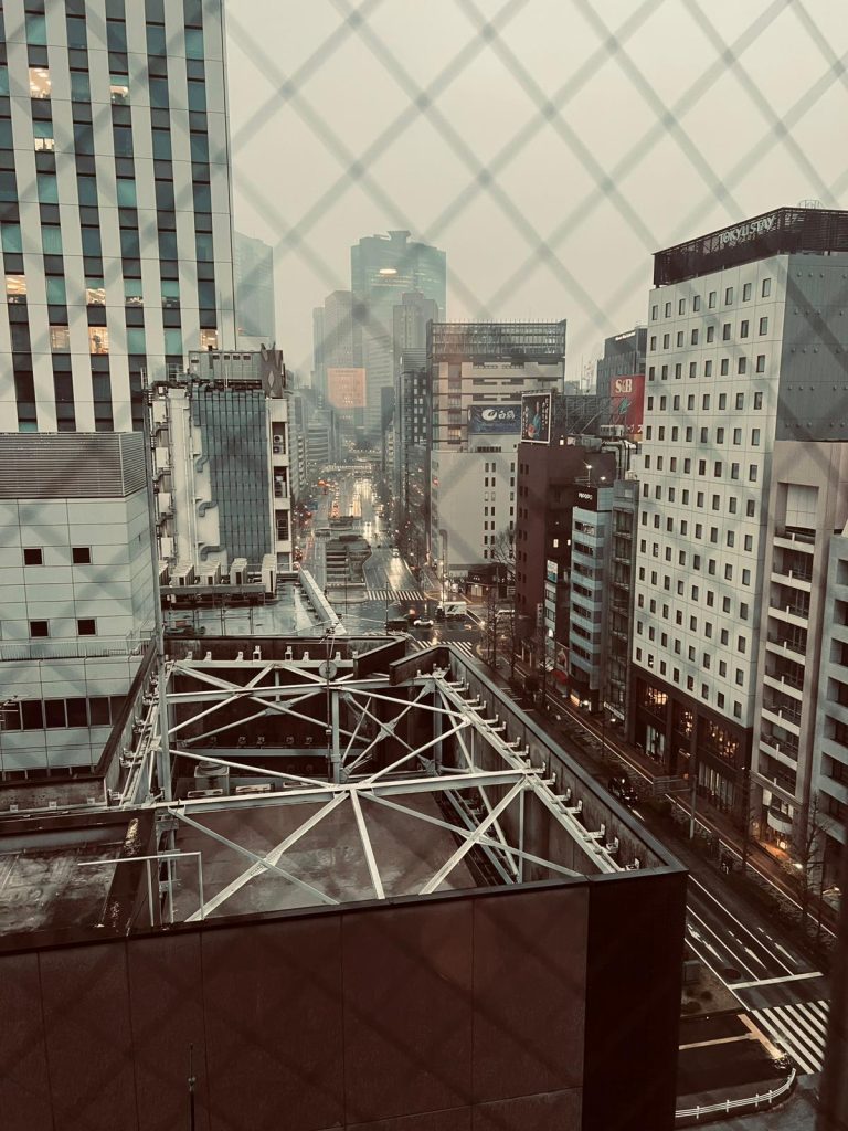 tokyo ginzada nerede kalınır