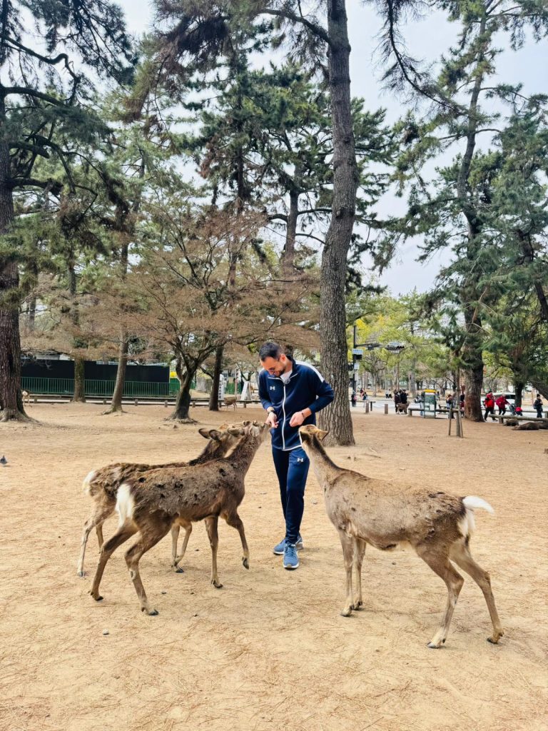 japonya gezilecek yerler