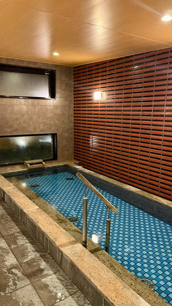 japonya nasıl gezilir